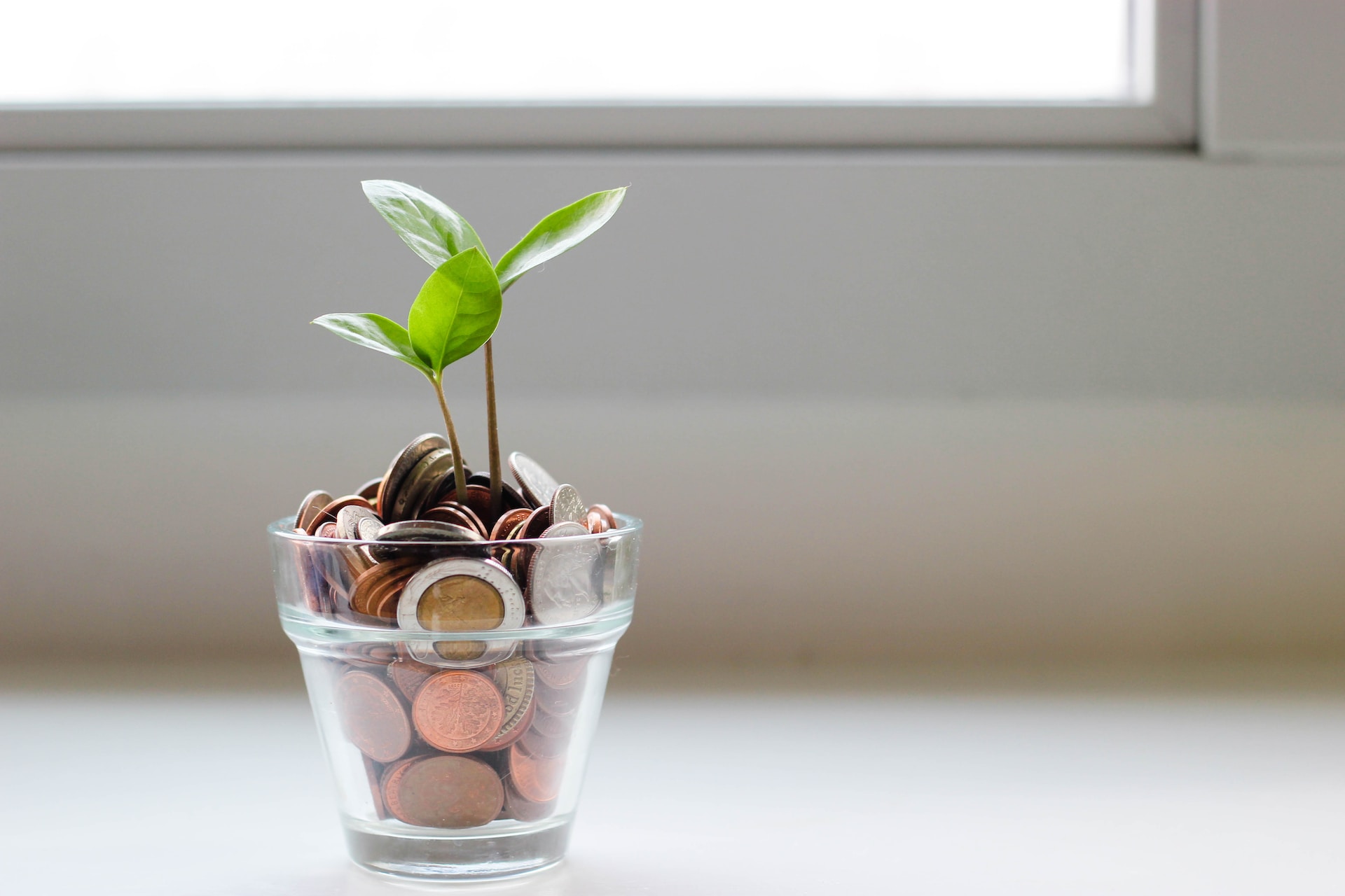 setting freelance rates